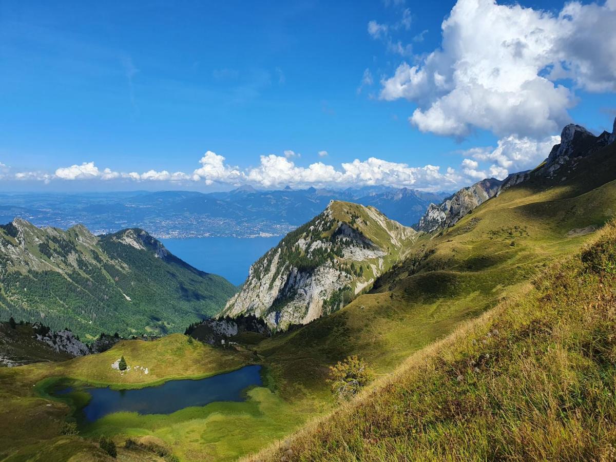 Chalet Chalon Meillerie Экстерьер фото