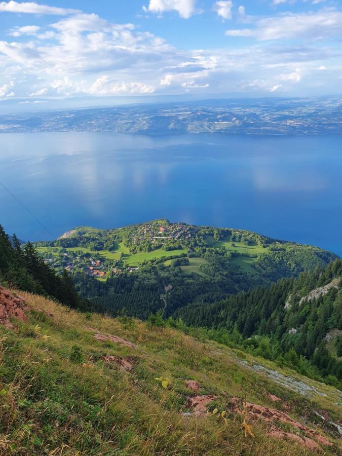 Chalet Chalon Meillerie Экстерьер фото